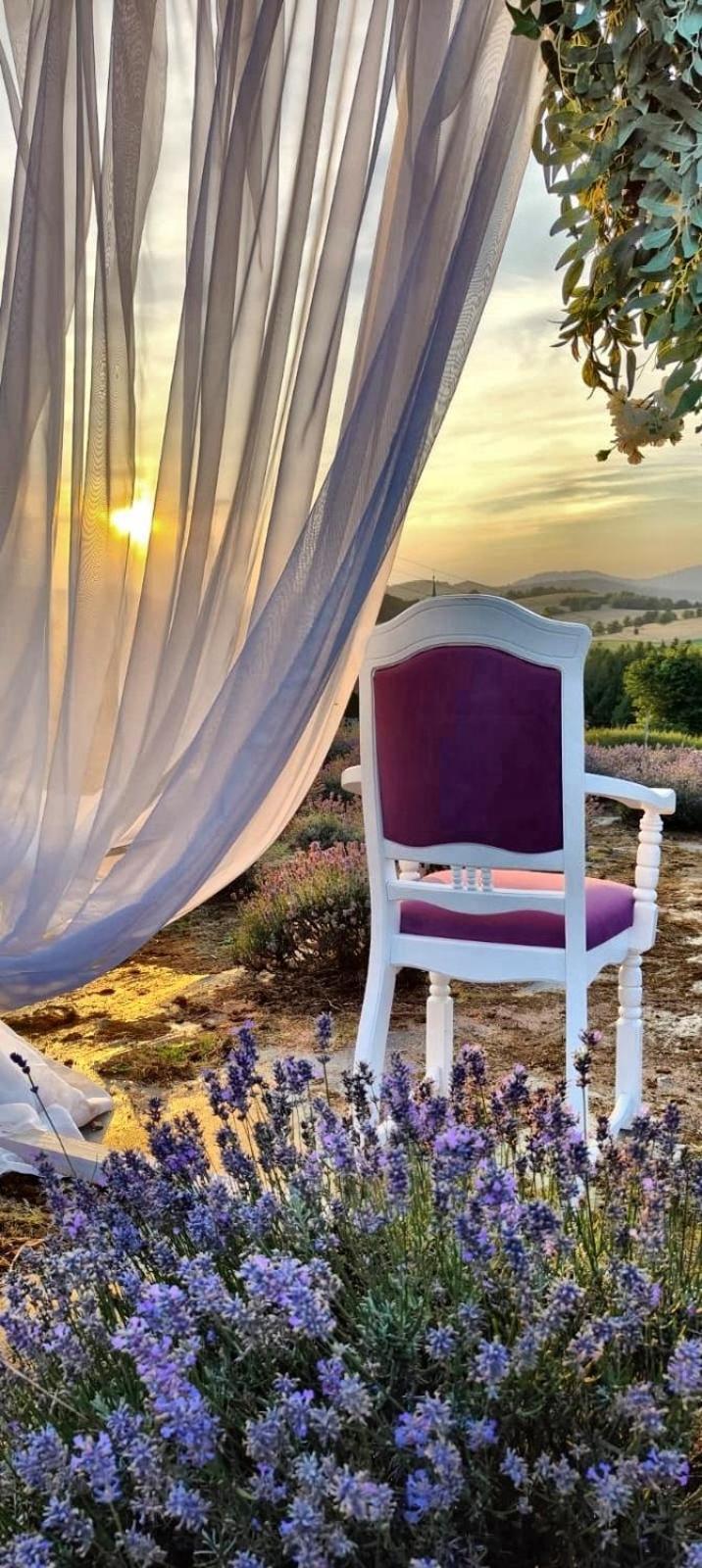 Bed and Breakfast Dom Pod Lawendowym Polem Woliborz Exteriér fotografie